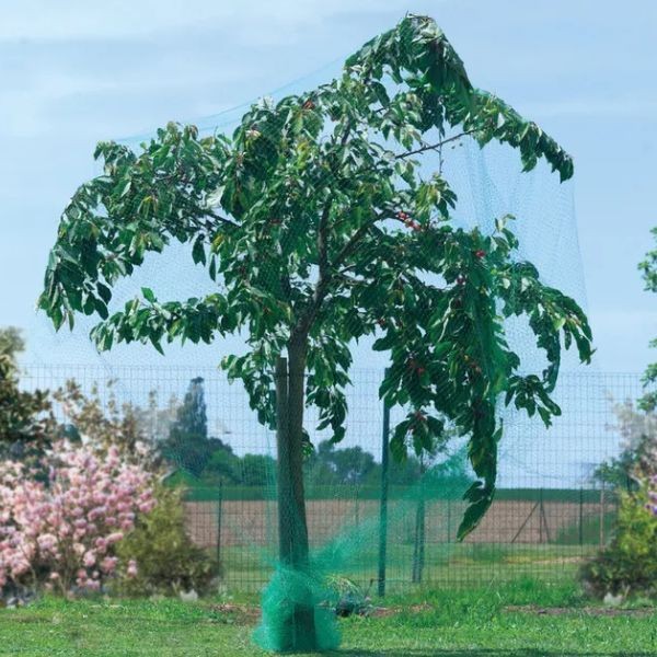 Rede anti-pássaros verde 2x10m - 3