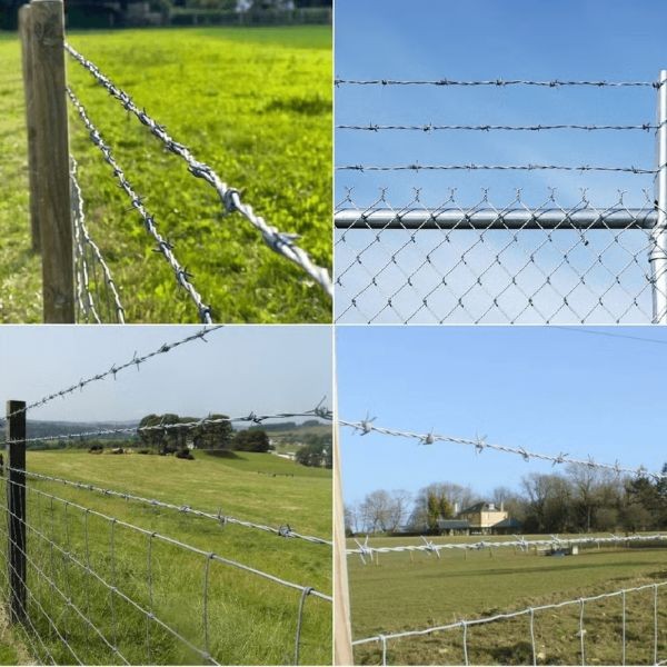 Arame farpado galvanizado de alta resistência RICCIO 100m - 4